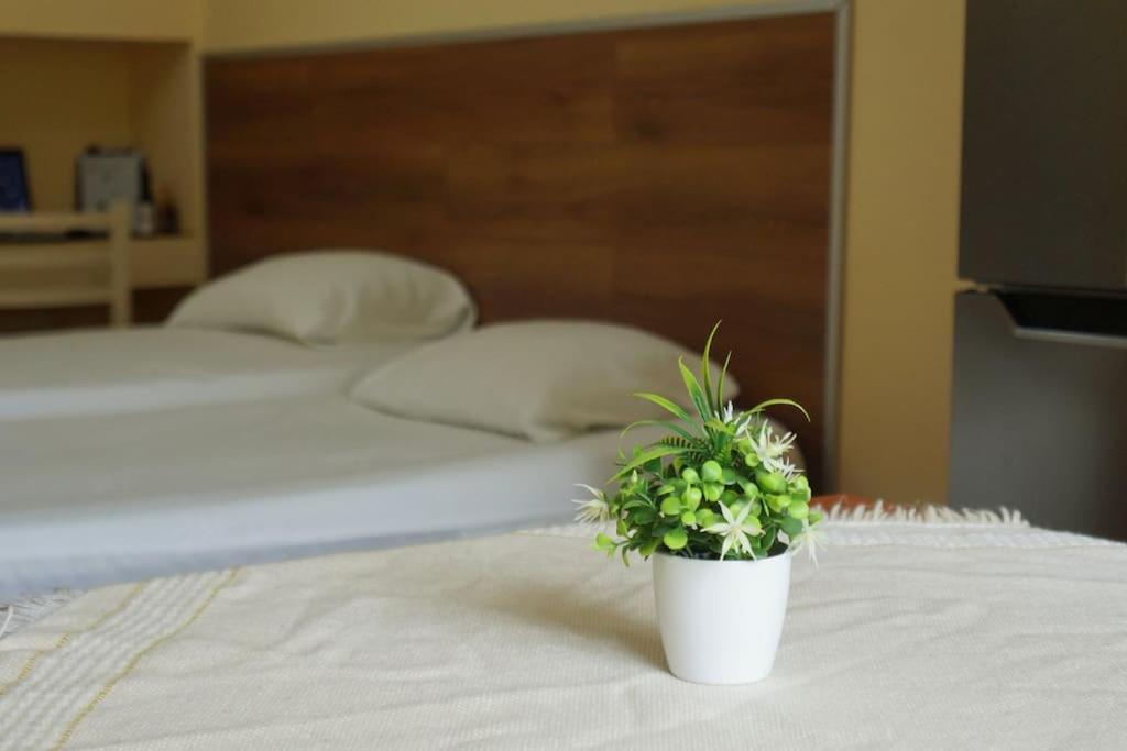 Alle'S M Shyri Studio Apartment Tirana Eksteriør billede