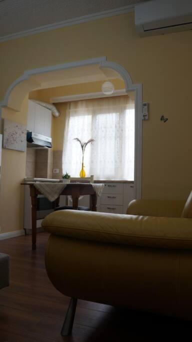 Alle'S M Shyri Studio Apartment Tirana Eksteriør billede