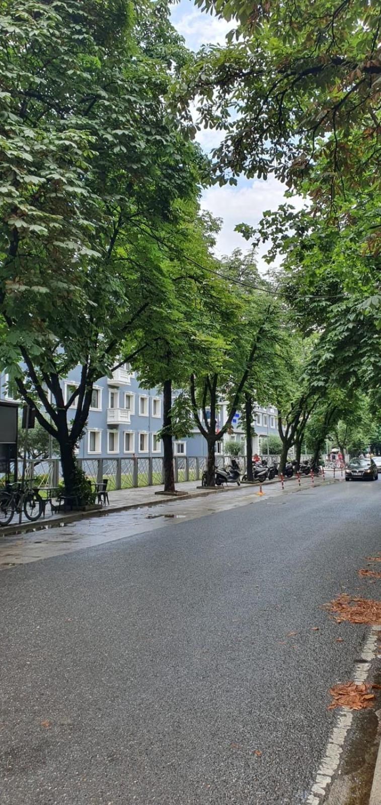 Alle'S M Shyri Studio Apartment Tirana Eksteriør billede